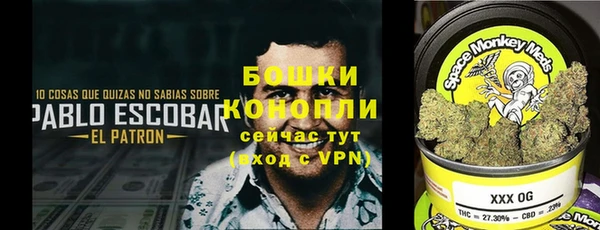 ешки Алзамай