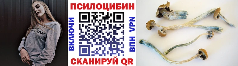 цены наркотик Евпатория Псилоцибиновые грибы GOLDEN TEACHER